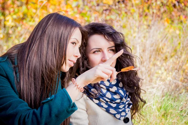 Chicas jóvenes en el parque de otoño — Foto de Stock