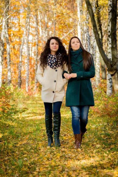 Young girls walking in the autumn park — Stock Photo, Image