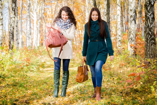 Молодые девушки прогуливаются в осеннем парке — стоковое фото