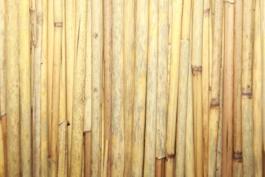 Bambu Arkaplanı