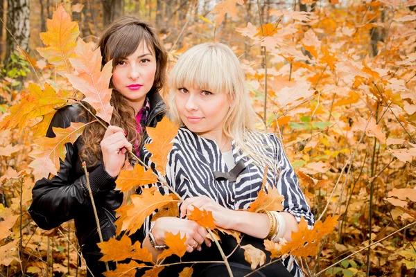 Young girls in the autumn park — Stock Photo, Image