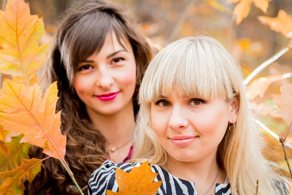 Young girls in the autumn park — Stock Photo, Image