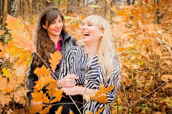 Chicas jóvenes en el parque de otoño — Foto de Stock