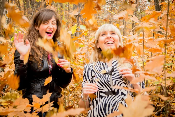 Chicas jóvenes en el parque de otoño — Foto de Stock