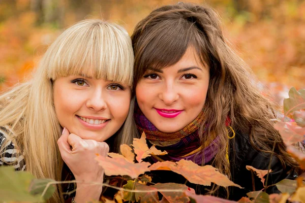 Chicas jóvenes en el parque de otoño —  Fotos de Stock