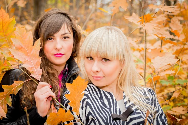 Young girls in the autumn park Royalty Free Stock Images