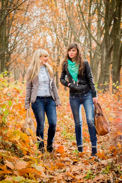Chicas jóvenes en el parque de otoño — Foto de Stock