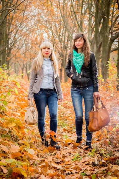 Raparigas no parque de outono — Fotografia de Stock
