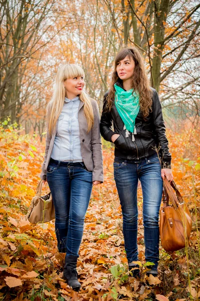 Chicas jóvenes en el parque de otoño — Foto de Stock