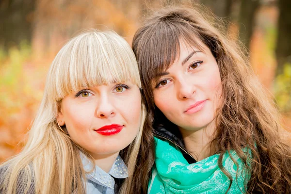 Young girls in the autumn park — Stock Photo, Image