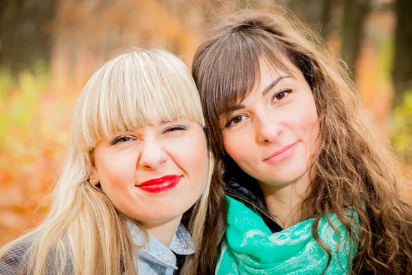 Young girls in the autumn park — Stock Photo, Image