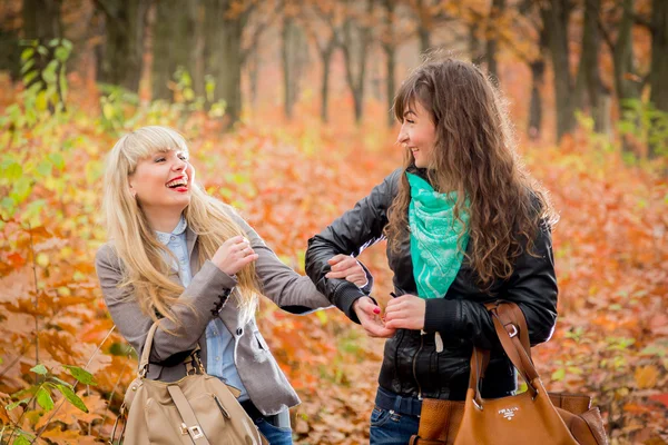 Young girls in the autumn park — Stock Photo, Image