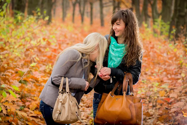 Chicas jóvenes en el parque de otoño —  Fotos de Stock