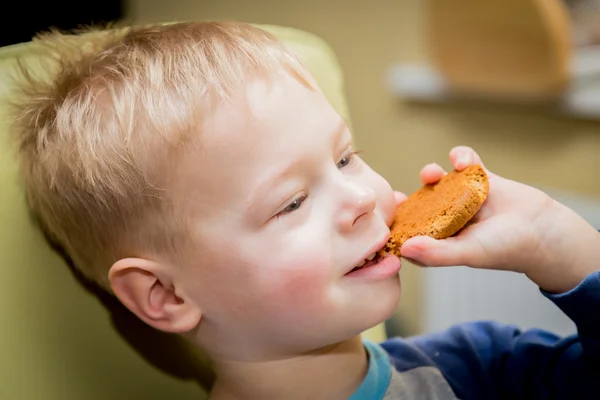 Boy eating cookies