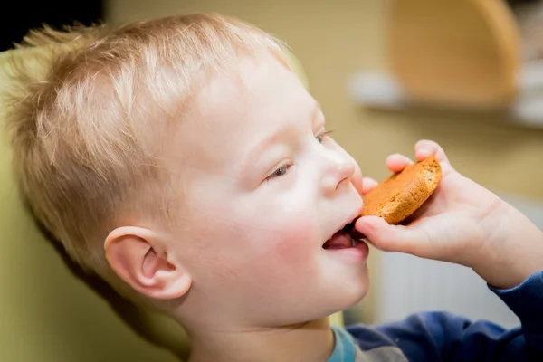 Chico comiendo galletas —  Fotos de Stock