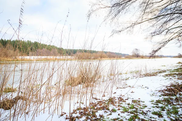 Rivière forestière d'hiver avec arbres — Photo