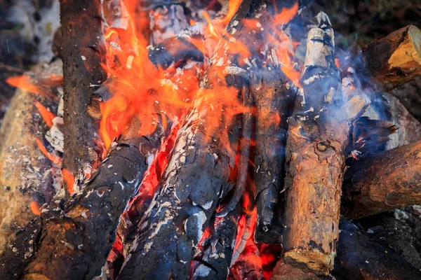 Brûlage du bois de feu — Photo