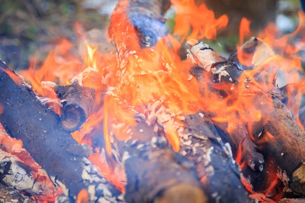 Brûlage du bois de feu — Photo