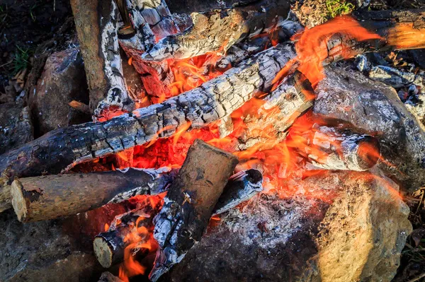 Burning fire wood — Stock Photo, Image