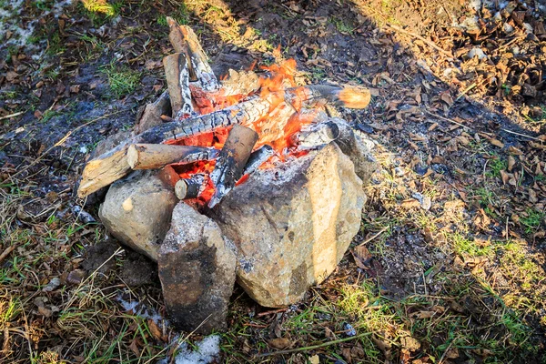 Brûlage du bois de feu — Photo