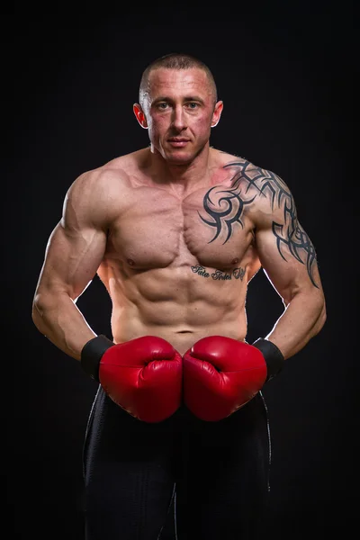Чоловік в татуюванні позує з боксерськими рукавичками — стокове фото