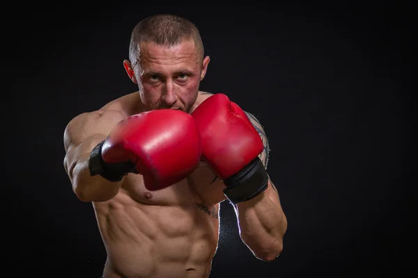 Man in tattoo posing with boxing gloves Stock Photo