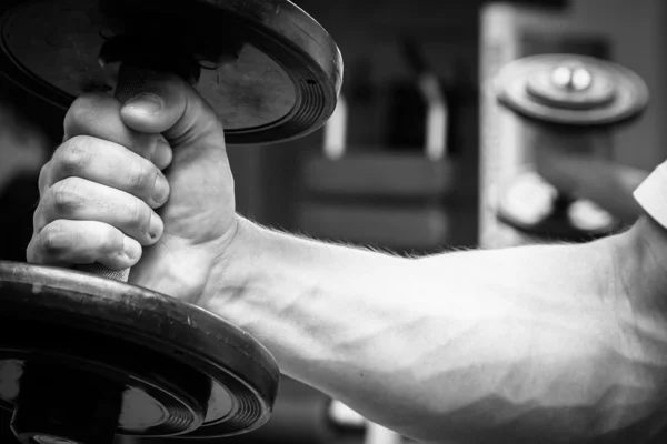 Dumbbell na mão . — Fotografia de Stock