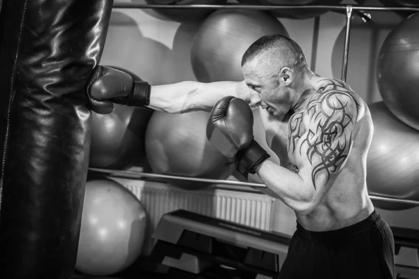 Mannen med tatuering boxning — Stockfoto