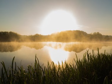 sunrise, nehir