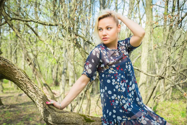 Blond im Wald — Stockfoto