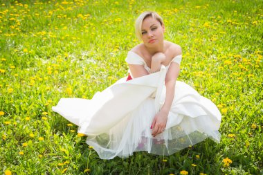 sarışın niteliğine