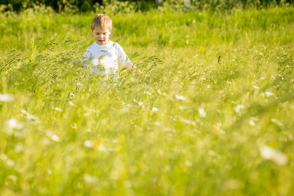 Niño caminando en un campo —  Fotos de Stock