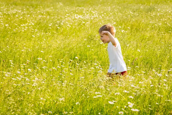 Boy walking in a field — Stock Photo, Image