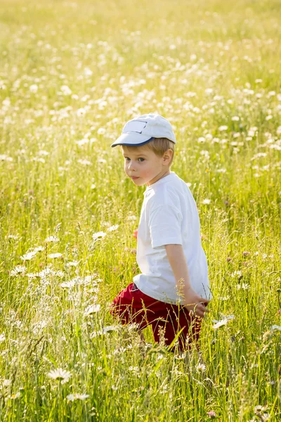 Niño caminando en un campo —  Fotos de Stock