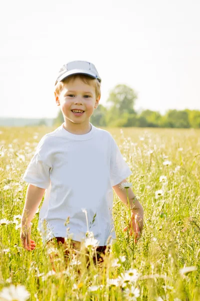 Boy walking in a field — Stock Photo, Image