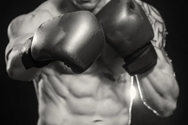 Retrato de boxeador — Fotografia de Stock