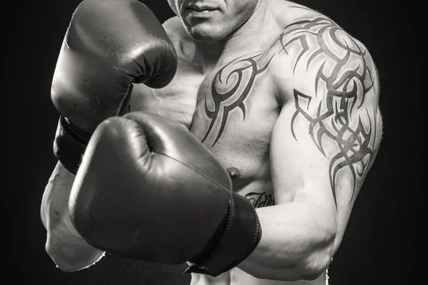 Portrait of boxer — Stock Photo, Image