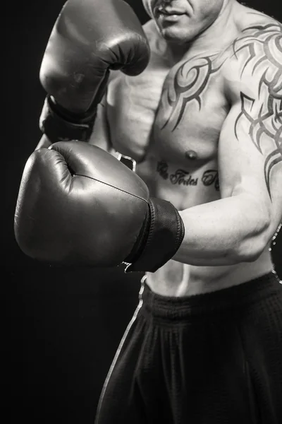 Retrato de boxeador — Fotografia de Stock