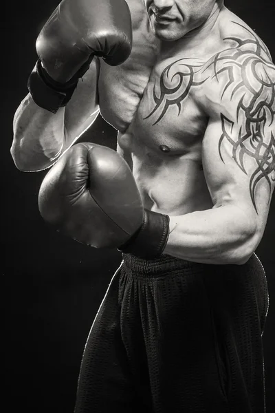 Портрет боксер — стокове фото