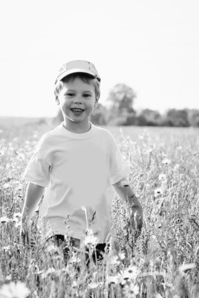 Pojke spelar i fältet — Stockfoto