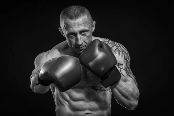 拳击手的肖像 — 图库照片
