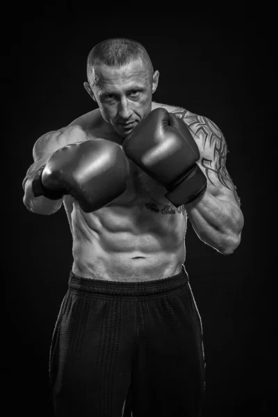 Retrato de boxeador — Foto de Stock