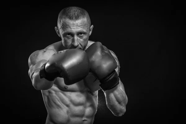 Retrato de boxeador — Foto de Stock