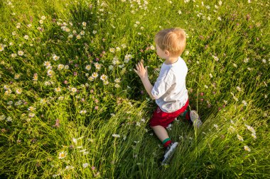 Çocuk alanı oynama