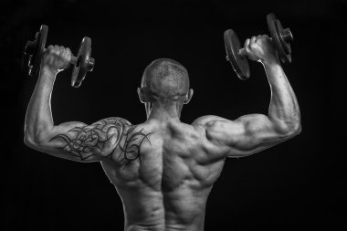 adale adam dumbbells ile