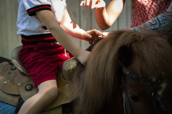 Kleine jongen rijden pony — Stockfoto