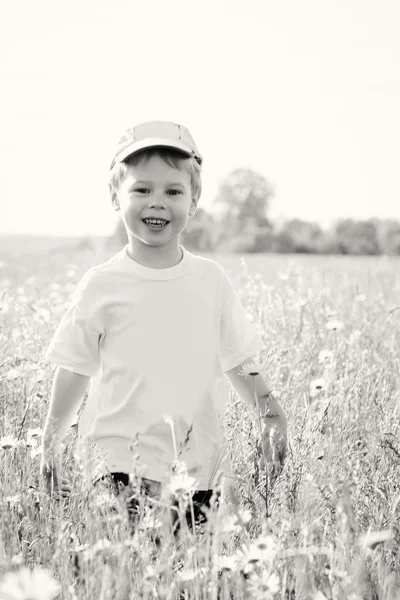 Pojken går i fältet — Stockfoto