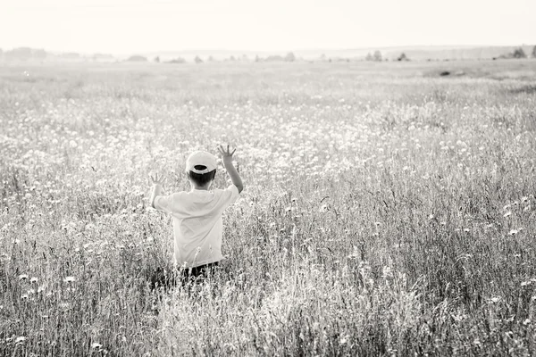 Junge geht auf Feld — Stockfoto