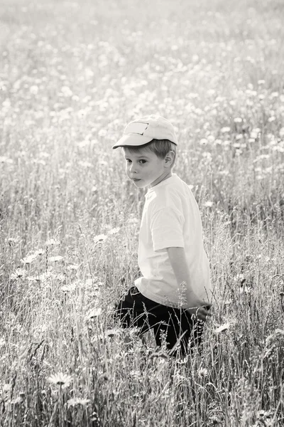 Menino caminhando no campo — Fotografia de Stock