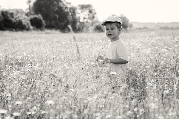 Junge geht auf Feld — Stockfoto